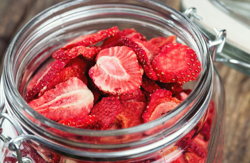 Discover the Benefits of Dehydrating and Preserving Organic Food