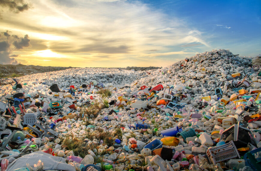 A Growing Number of Countries are Banning Plastic Waste Imports