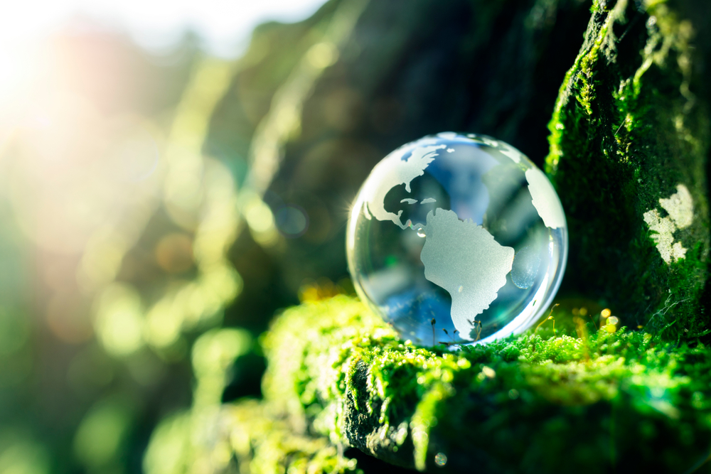 Tips on Living More Sustainable in Suburbia