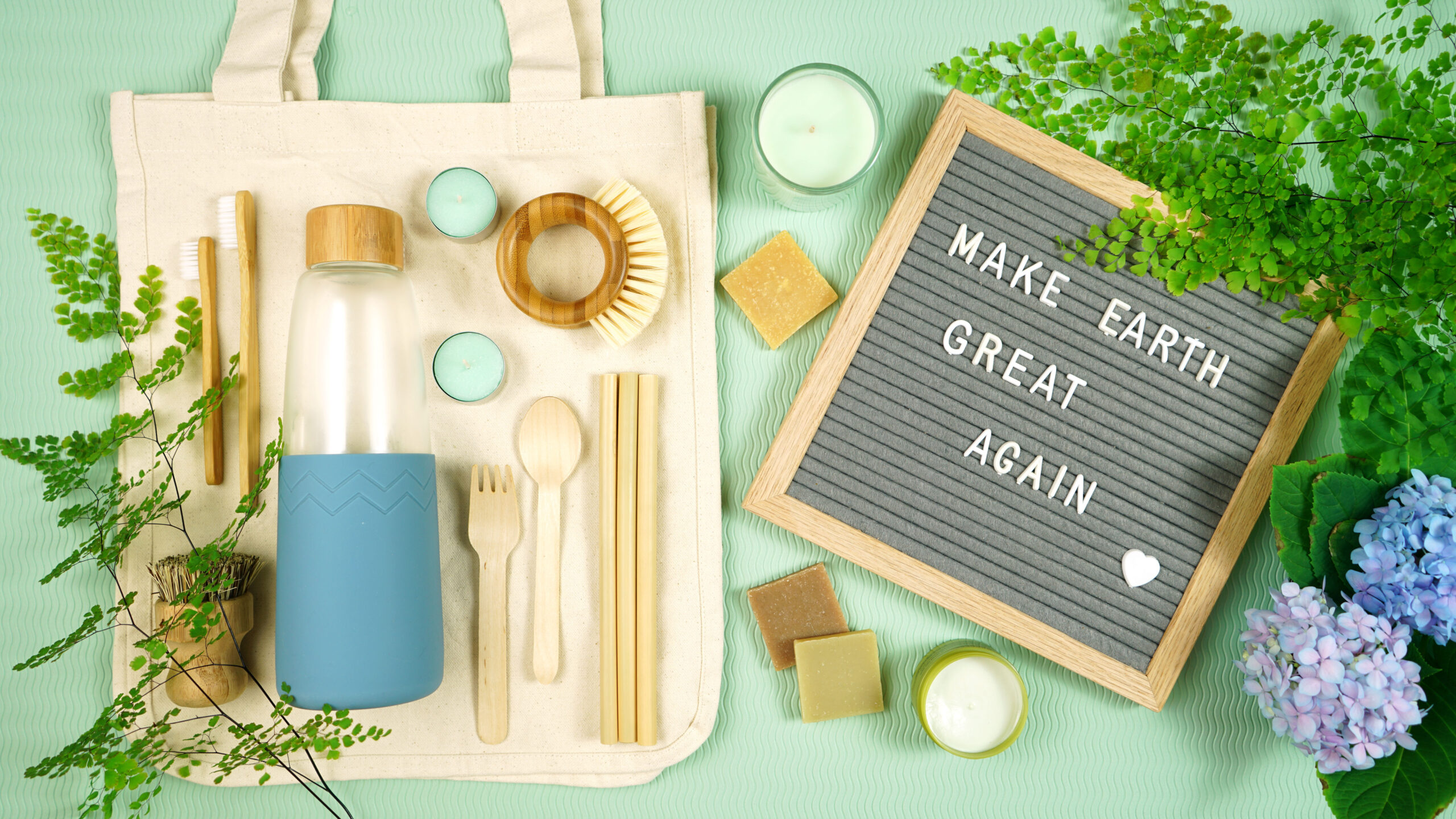 The Surprising Myths about Green Living Debunked