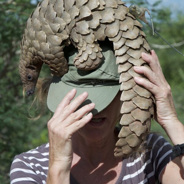 The Perilous Plight of Pangolins: A Green Perspective