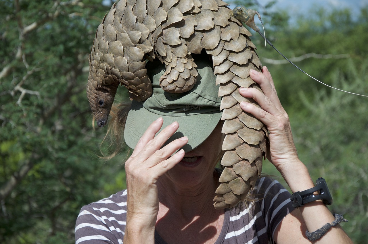 The Perilous Plight of Pangolins: A Green Perspective