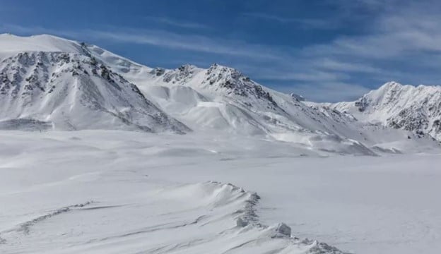 artic tundra biome