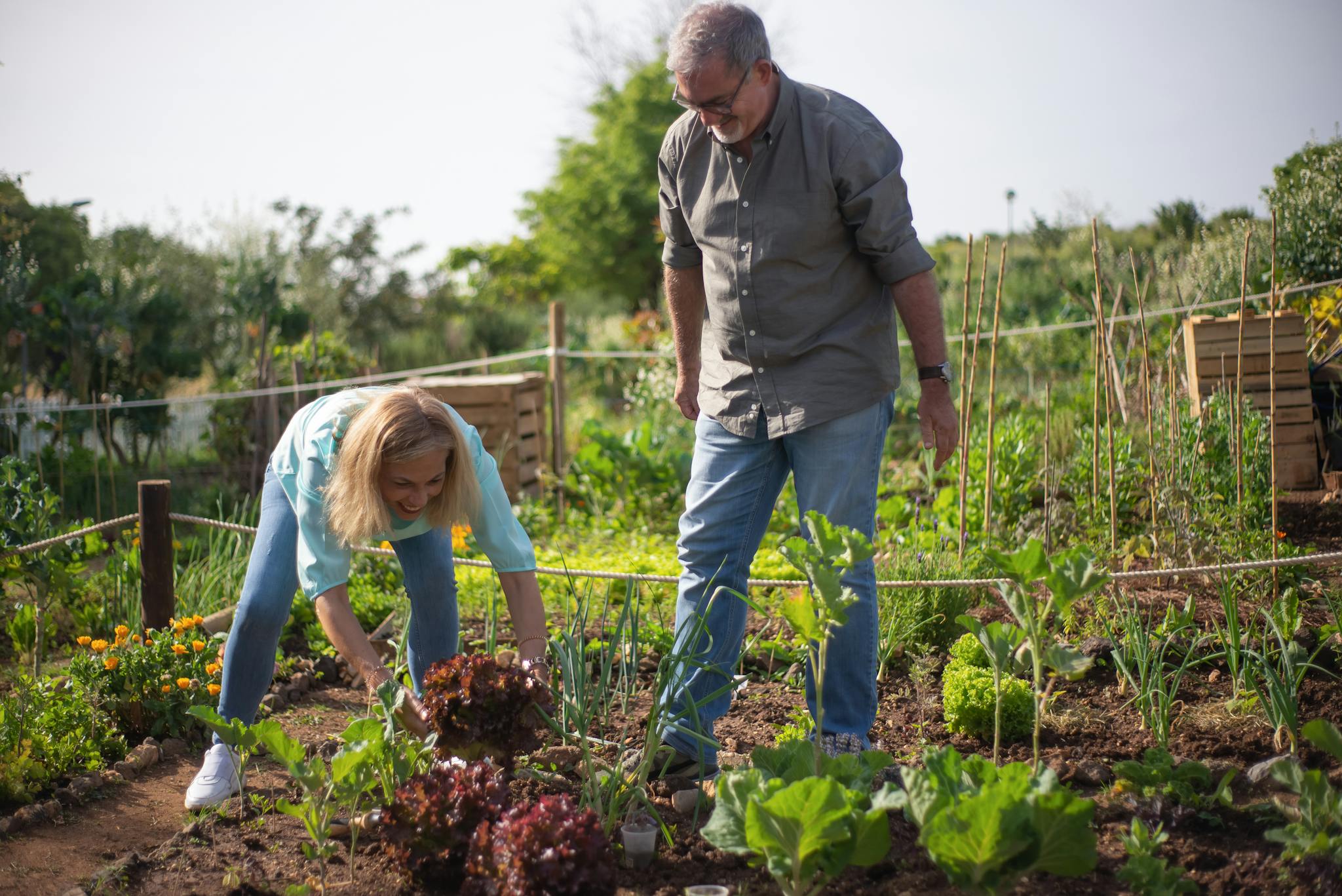 econerd sustainable living